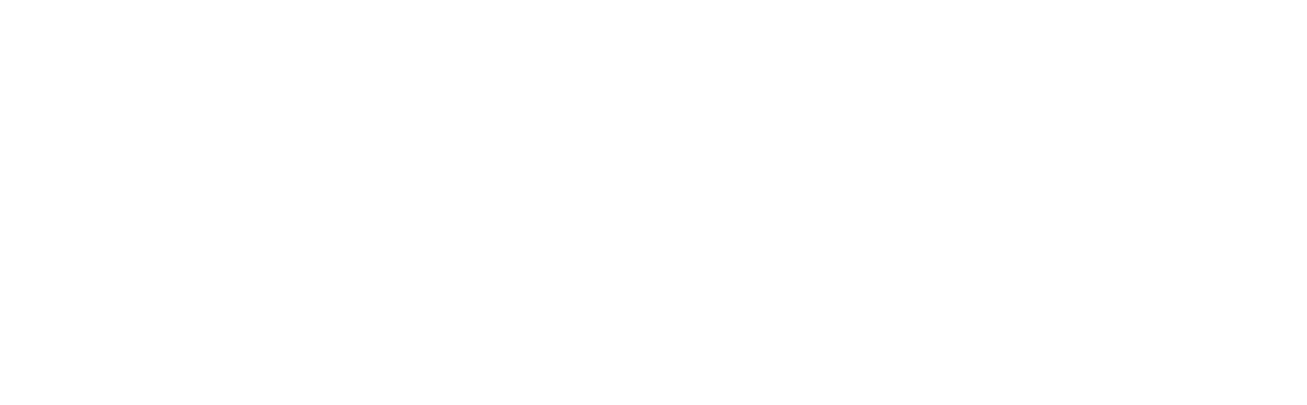 Voyage Manager