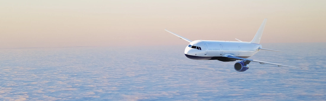 How can you reduce your carbon footprint… without giving up business flights?
